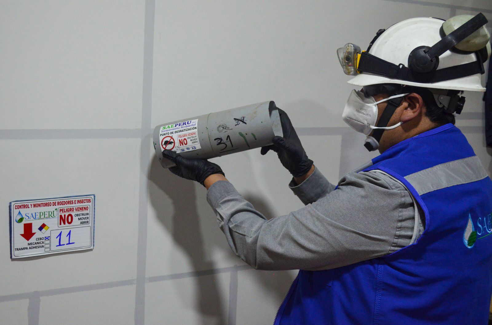 Desratización - Servicios Saneamiento Ambiental